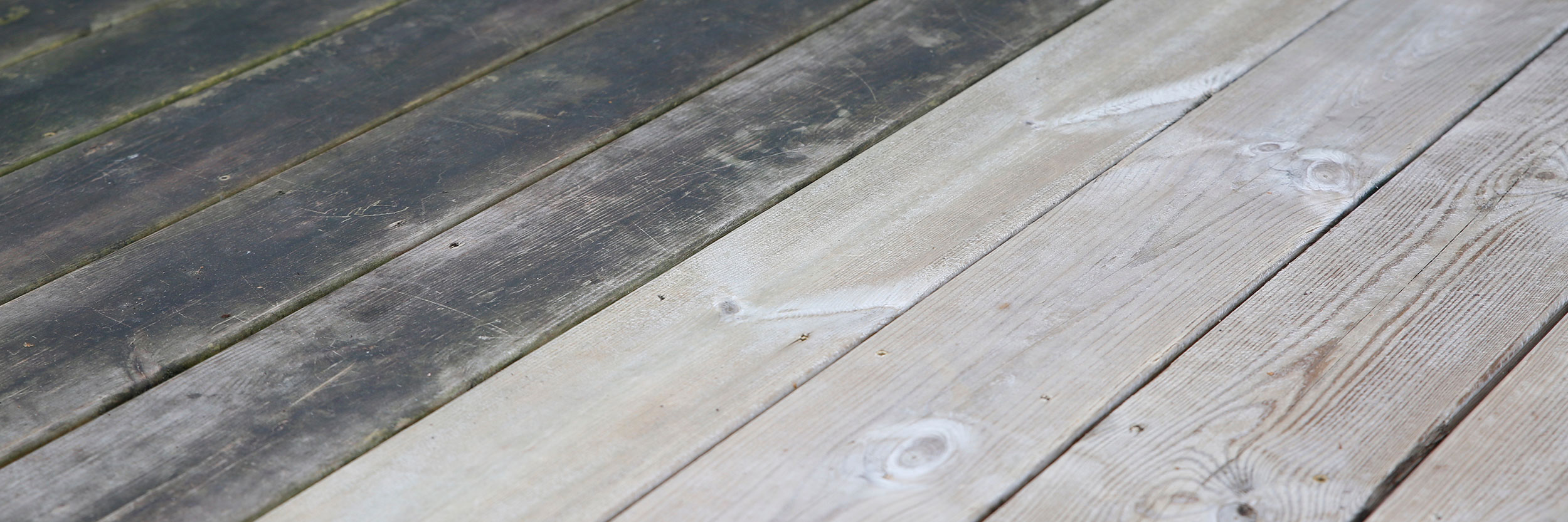 Toppbild TRP 2500X833