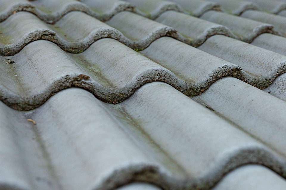 Villalivet09 960X640