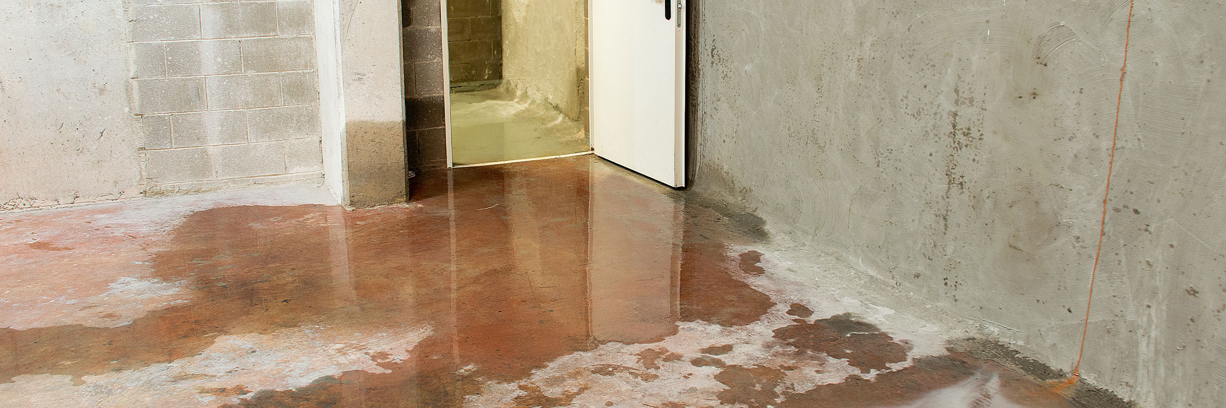 Toppbild P HP18 2500X833