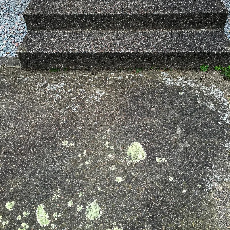 Tvätta & rengöra alger på asfalt