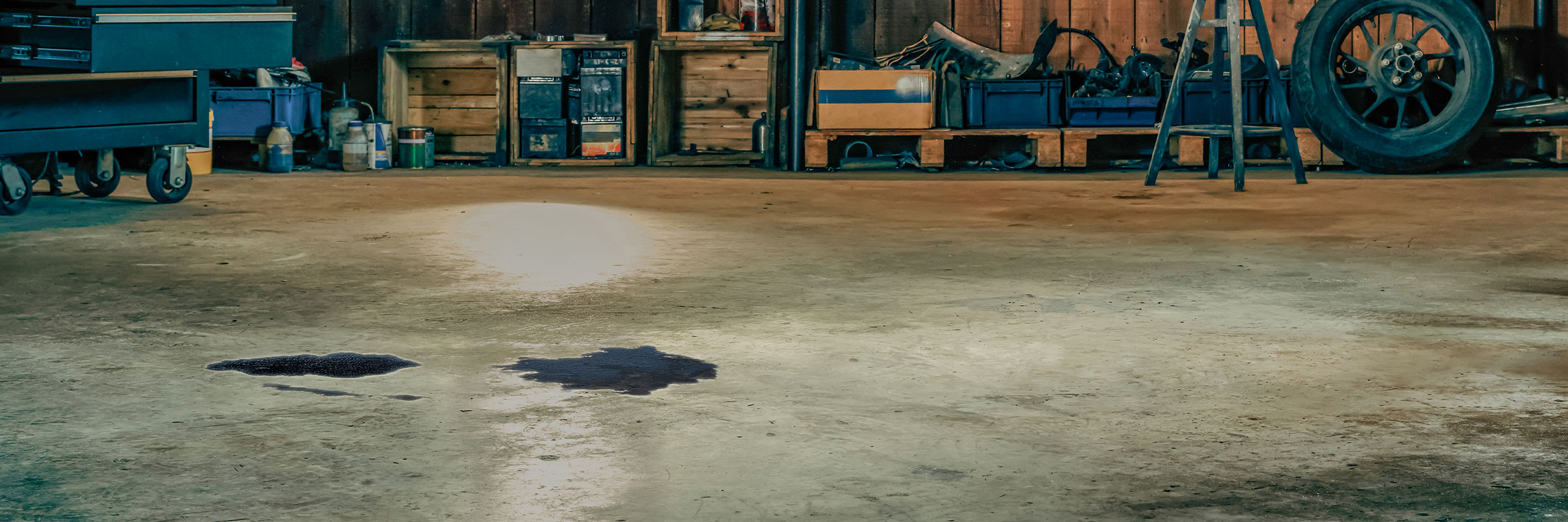 Toppbild SSOT 2500X833