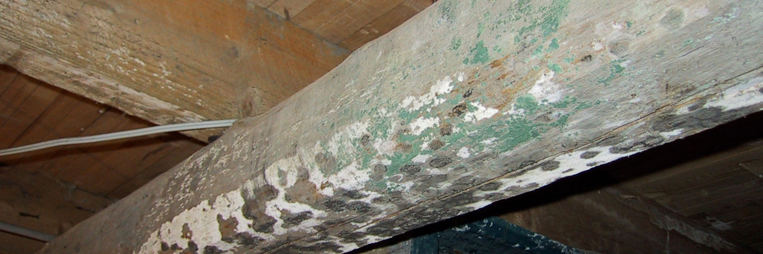 Toppbild P Hysan 2500X833