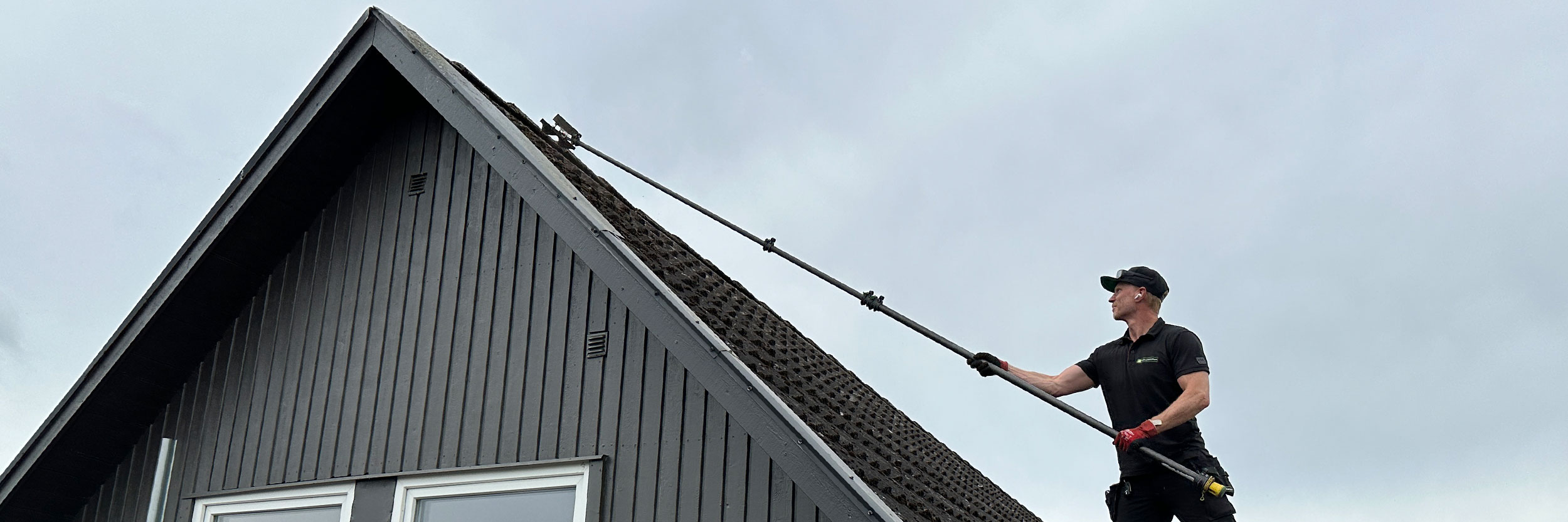 Toppbild Mossa 2500X833