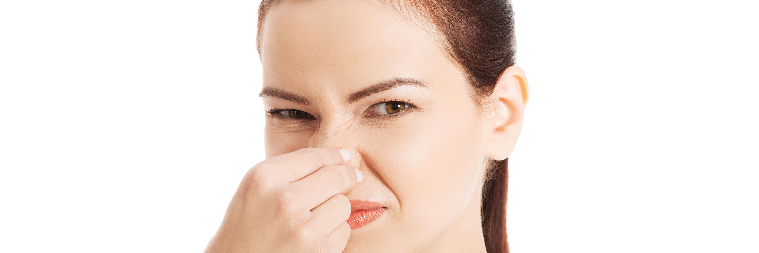 Toppbild P Kombi 2500X833