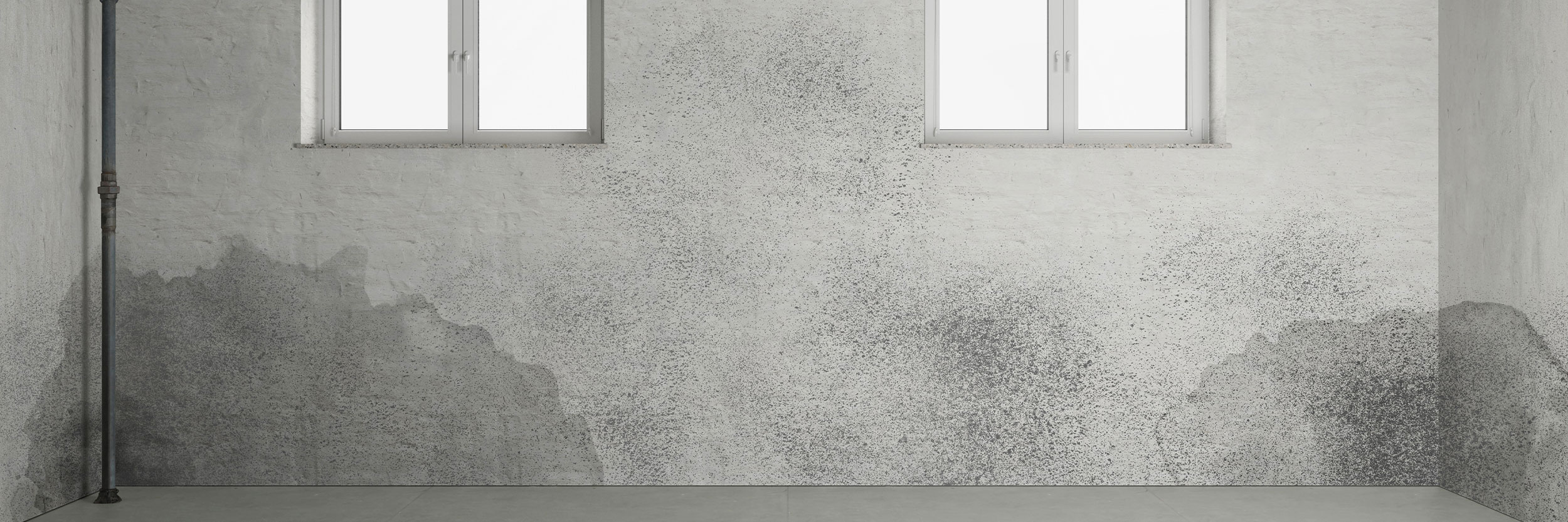 Toppbild MFP 2500X833