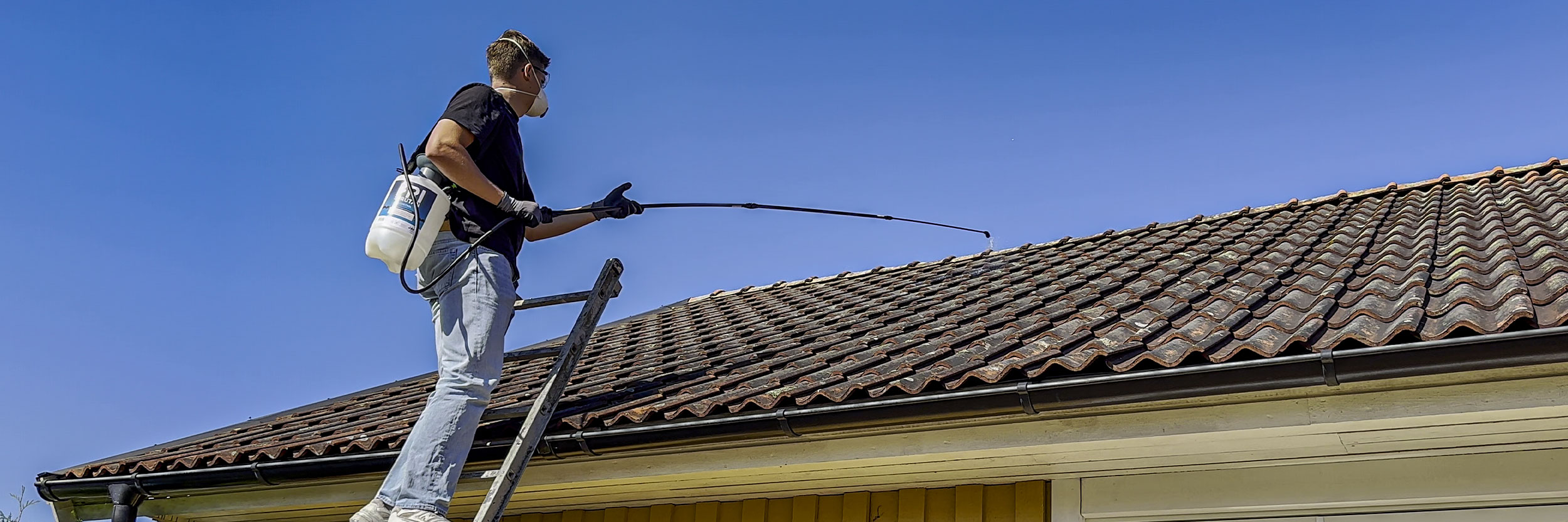 Fri Sprutan Background 2500X833