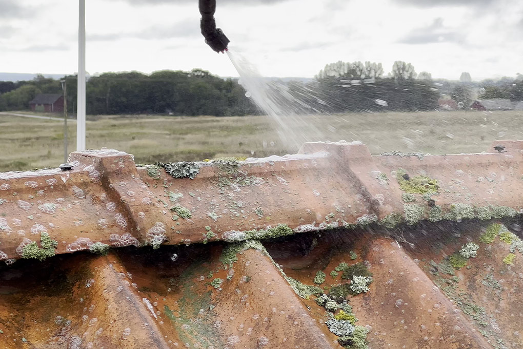 Pavaxt Preview 1020X680